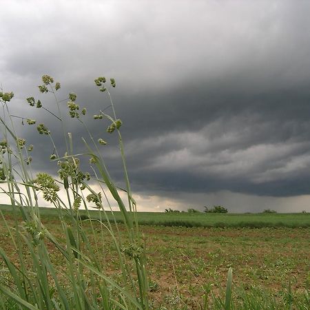 Agroturystyka Kalina Wielka المظهر الخارجي الصورة